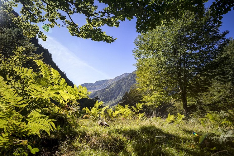 La vallée du Ribérot