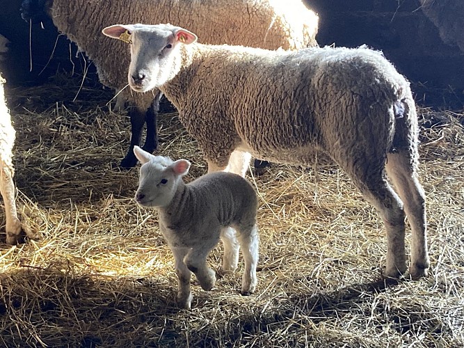 Domaine de Montprisy La Nocle_M Mazet_15.01.2024-03