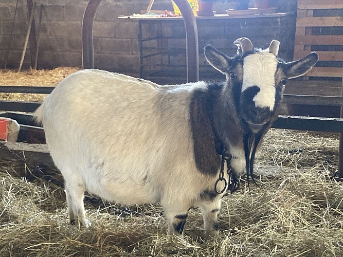 Domaine de Montprisy La Nocle_M Mazet_15.01.2024-01