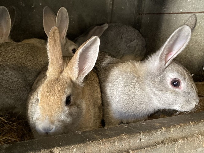 Domaine de Montprisy La Nocle_M Mazet_15.01.2024-02