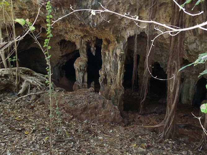 Grottes d'Anjohibe Majunga