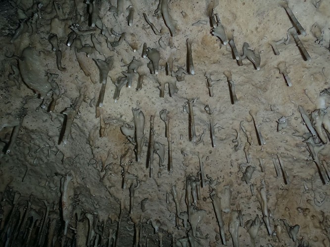 Grottes d'Anjohibe Majunga