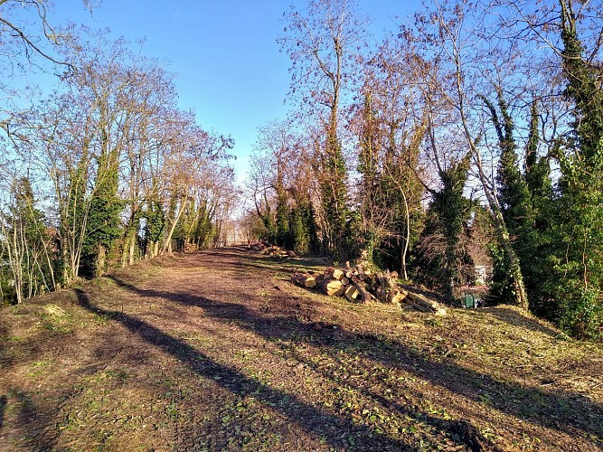 la piste achevée