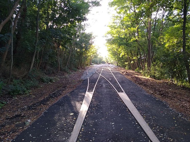 en attendant la piste cyclable