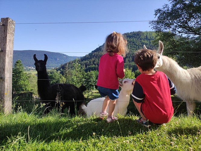 GITE MANON - CHALET A L'OREE DU BOIS
