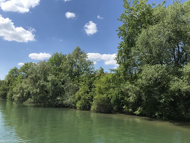 Croisière - Balade faune & flore commentée sur la Marne