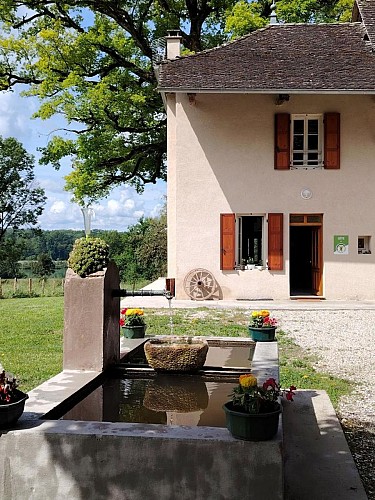 Gîte "Le Vieux Chêne"