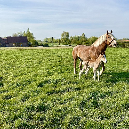 letty et arthus 2020