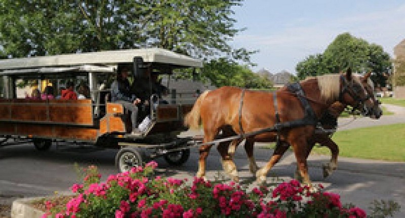 promenade en calèche