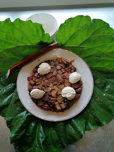 TATIN A LA RHUBARBE auberge du Noordmeulen