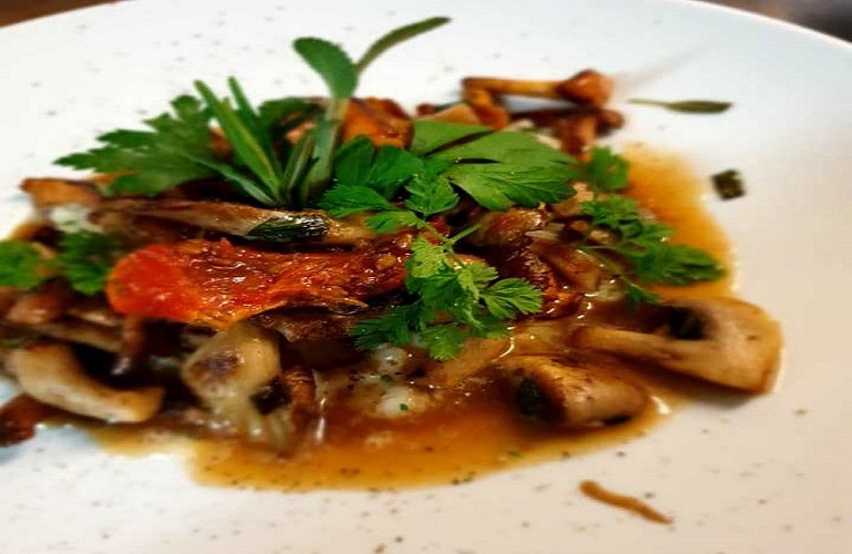 Graine de tomate_Amiens_HDF_1