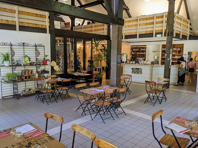 Jardins de Valloires ©Somme Tourisme-AC (5)