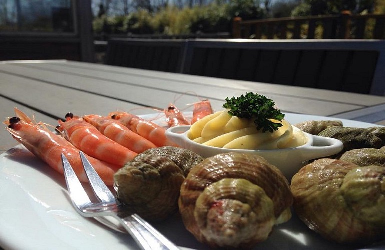 Le jardin - Domaine de Diane