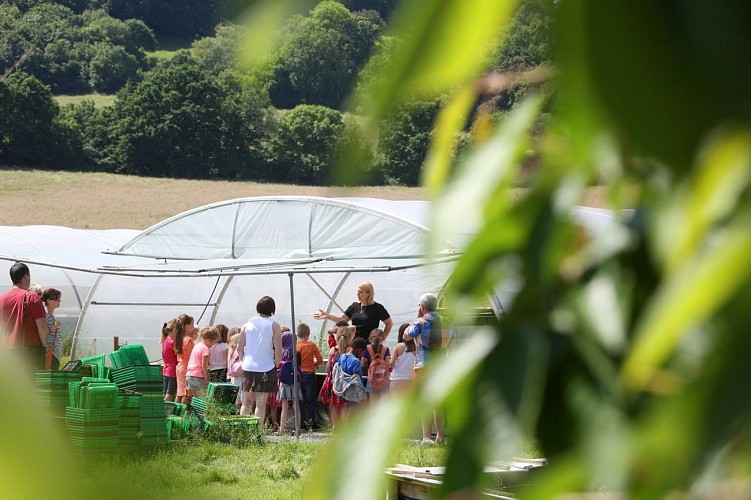 EscargotiereWarnant2