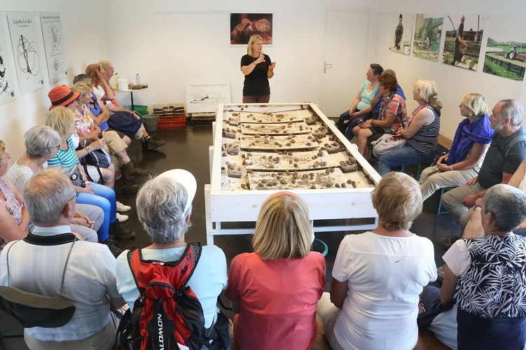 EscargotiereWarnant3