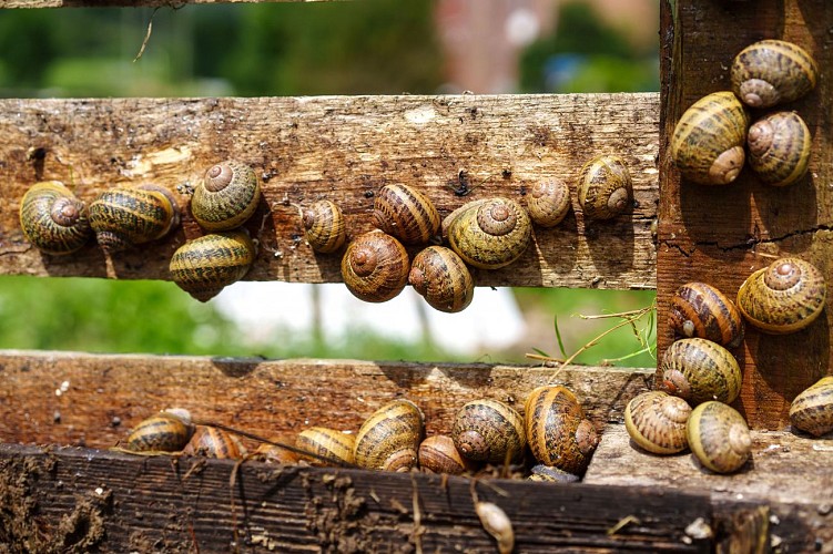 MT_ExploreMeuse_Warnant_11082023_0006