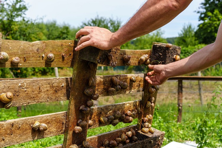 MT_ExploreMeuse_Warnant_11082023_0003