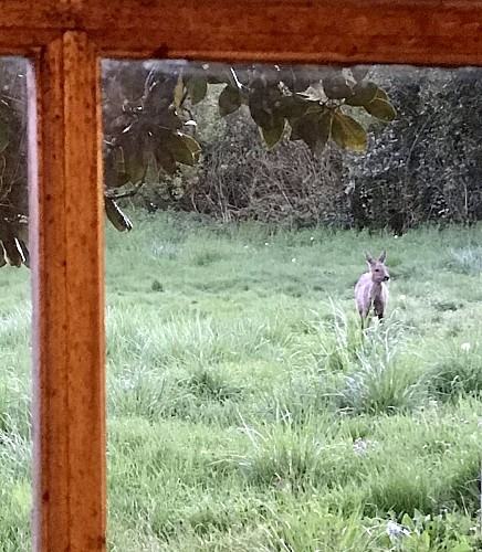 489022497_122216128496210305_9192498285253425343_n