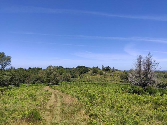 Beaumont-du-Lac - Autour du Bois de Crozat - 