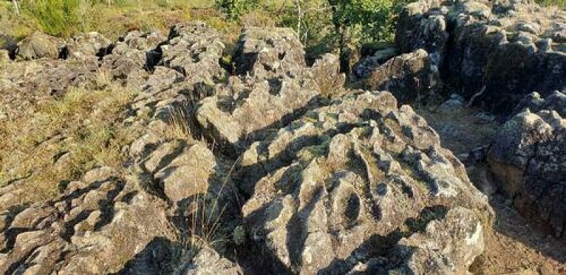 du-bruit-dans-les-bruyeres-262470-1