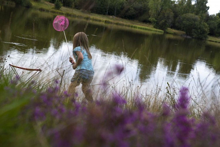 HD_EtangPechePierresDuMas_0138