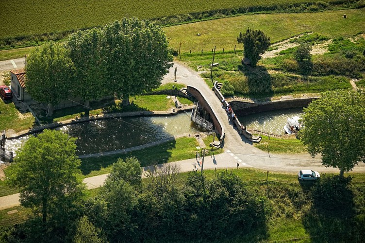 ayguevives-ecluse-sanglier