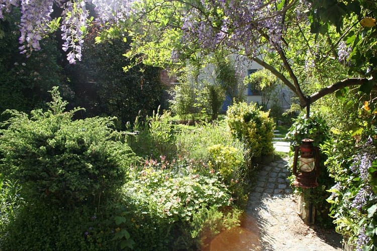 Le Renard qui passe - ext 3