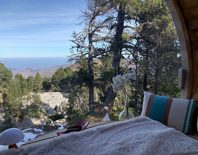 Bulle d'Oxygène 1650