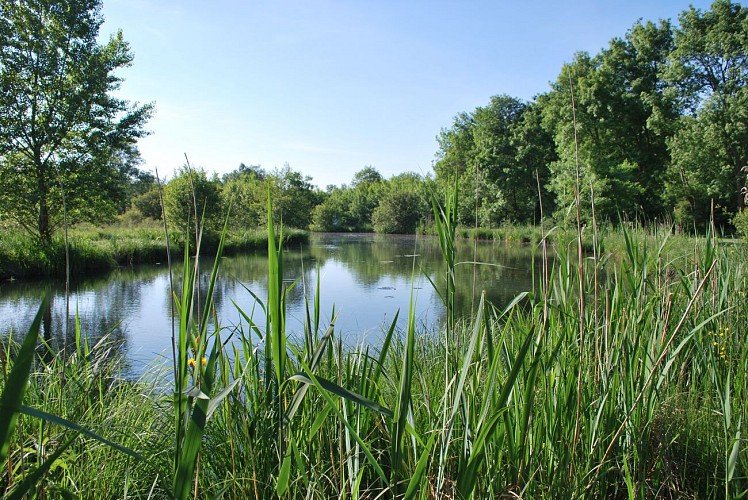 Site du Moron, zone Natura 2000