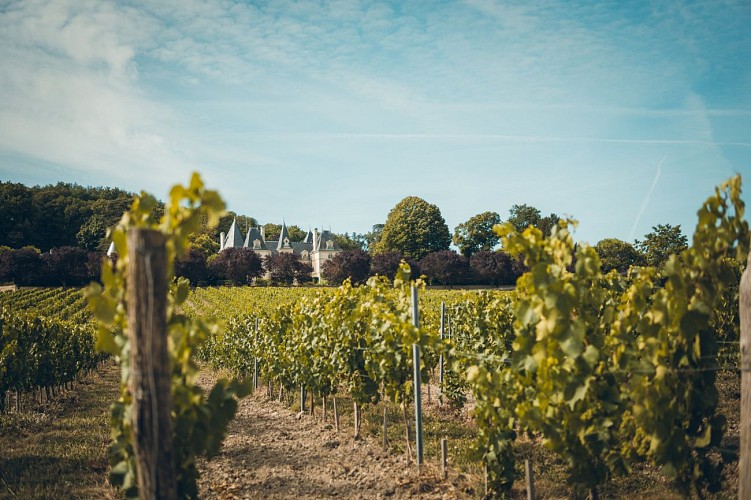 Ampelidae--Marigny-Brizay--fourni-par-prestataire-2-