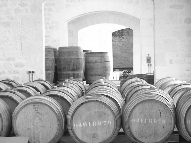 Ampelidae--Marigny-Brizay--fourni-par-prestataire--22-