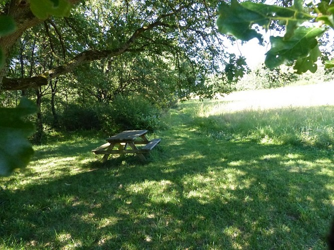 Camping Chemin vert 5 SAINT LYS