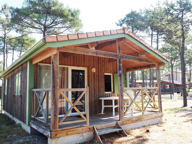 Goeland - Village de l'Océan