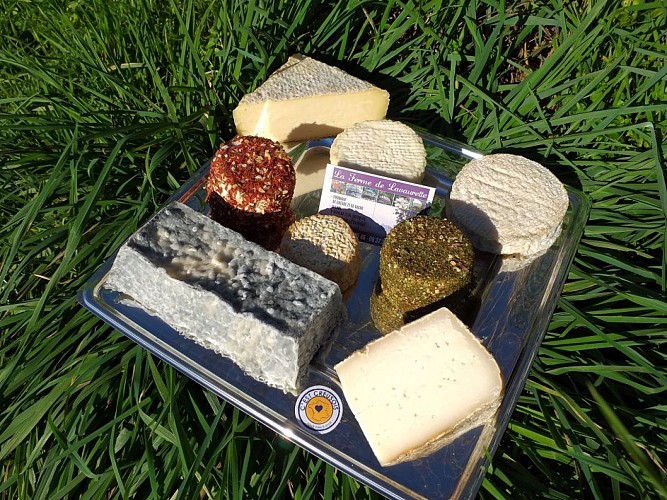 plateau fromage