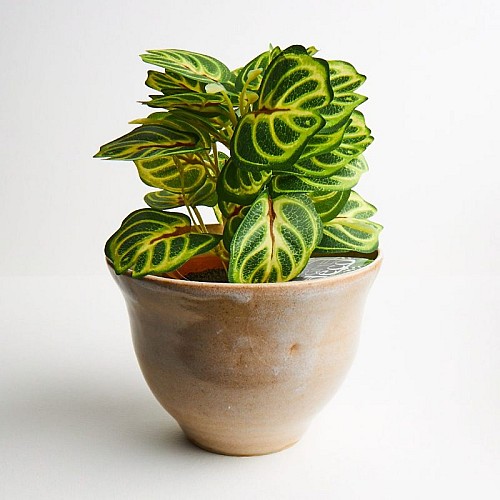 Patricia Poirier Poterie