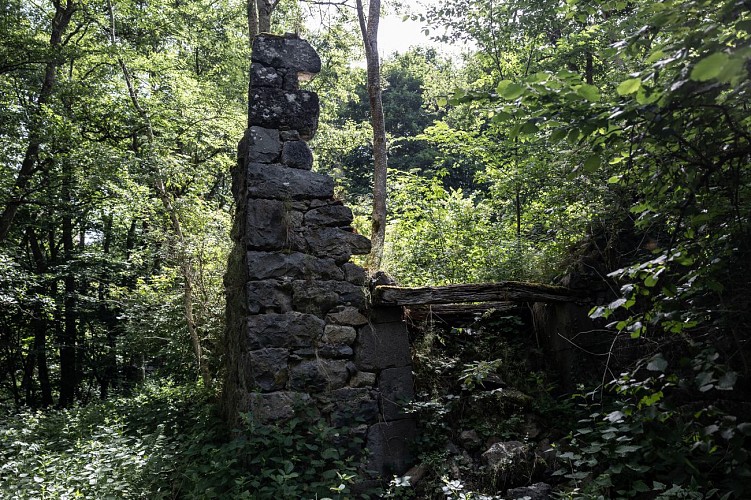 Ruines du moulin de Montéribeyre