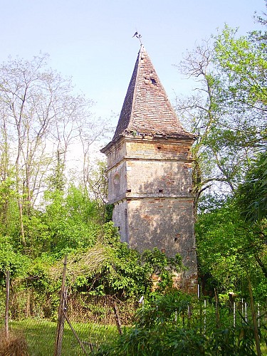 Vestiges du Moulin de Saint-Pierre de Campredon