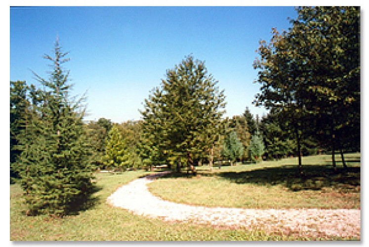 L'Arboretum