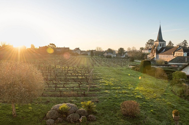 Domaine Beaumont - Maison d'hôtes vigneronne