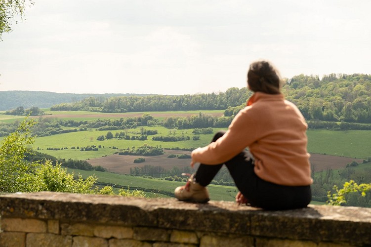 Point de vue du jardin du Presbytère Montquintin Gaume 1