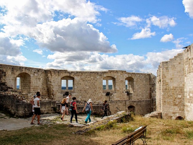 Château-Gaillard_11-08-18_Alain RENAUD_6