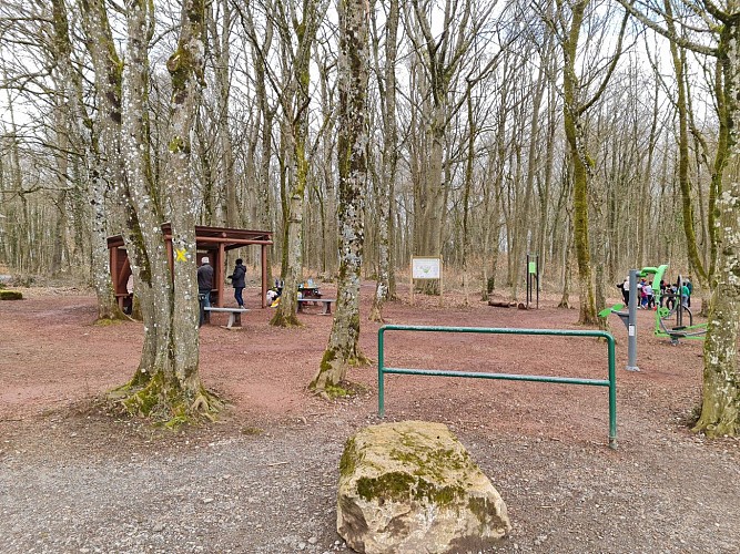 Aire de pique-nique