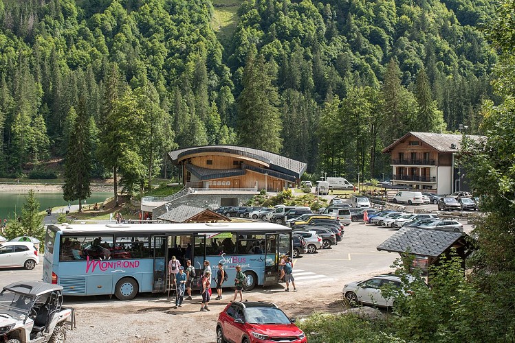 Montriond Shuttle - Line M and Mbis