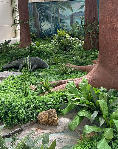 Quand le Massif central était sous l'équateur