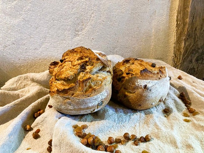 ferme-de-la-chouette-blanche-_javerdat (7)