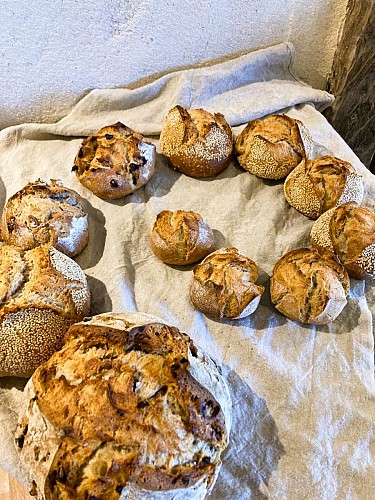 ferme-de-la-chouette-blanche-_javerdat (6)