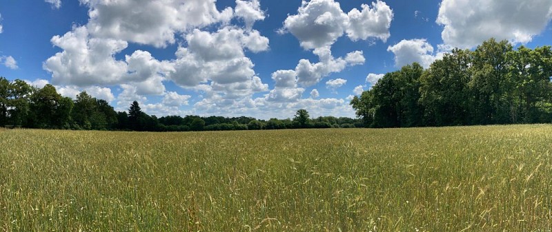 Ferme de la Chouette Blanche, Javerdat