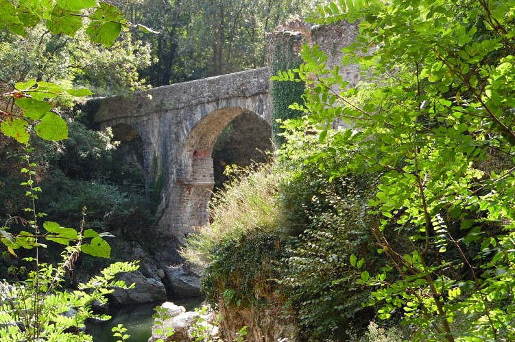 Pont du Diable