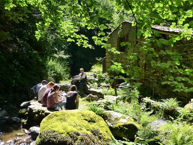 Le moulin de la Laurède