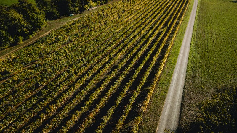 Domaine des côteaux d'Engraviès